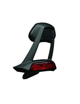 ducati diavel passenger backrest
