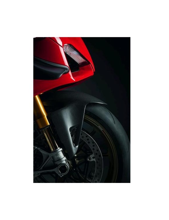 Front Carbon Kotflügel Ducati Panigale V2 - 3