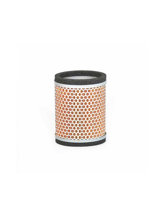 Filtro aire T2202450 Triumph América/Speedmaster/Thunderbird - 1