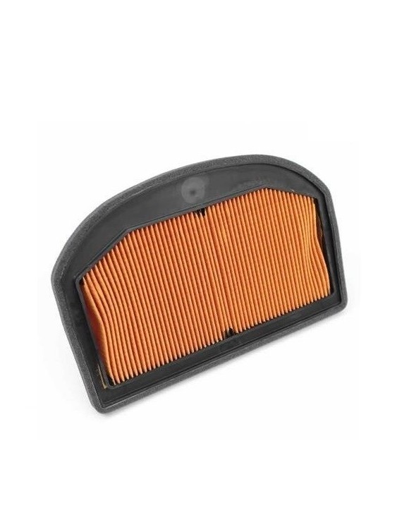 Filtro aria originale t2209555 Triumph 1200 / se desert / se alpine / Explorer - 1