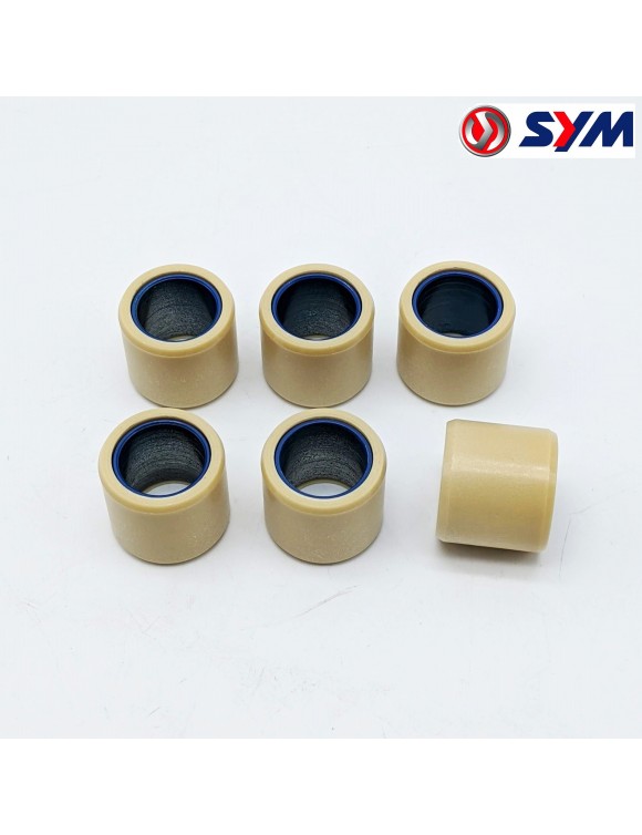 Ensemble rouleaux variateur 22121RB1001A SYM CITYCOM,CRUISYM,JOYMAX 250-300 - 1 Ensemble rouleaux variateur 22121RB1001A SYM CITYCOM,CRUISYM,JOYMAX 250-300 - 1