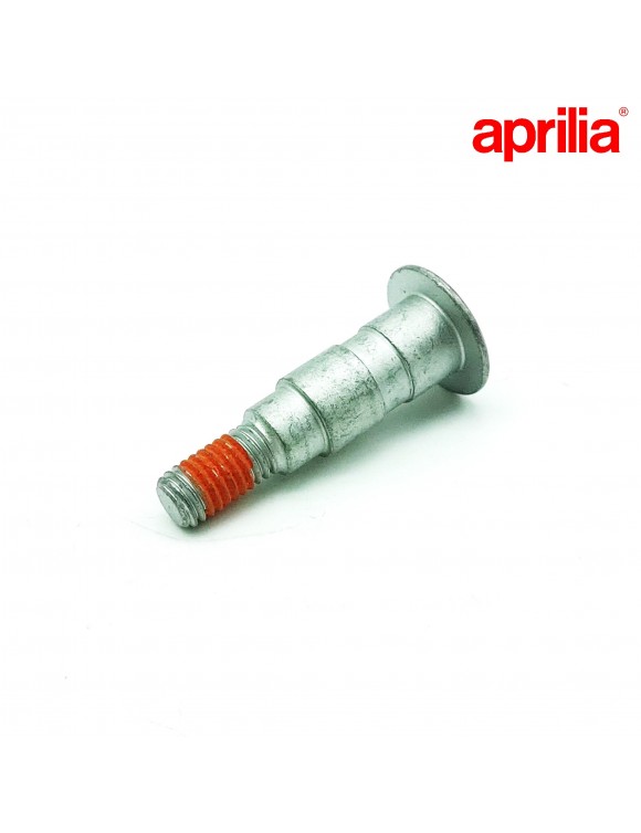 Perno leva freno posteriore 884033 RSV4,rs 660,Pegaso 660,Mana,Dorsoduro,caponor - 1