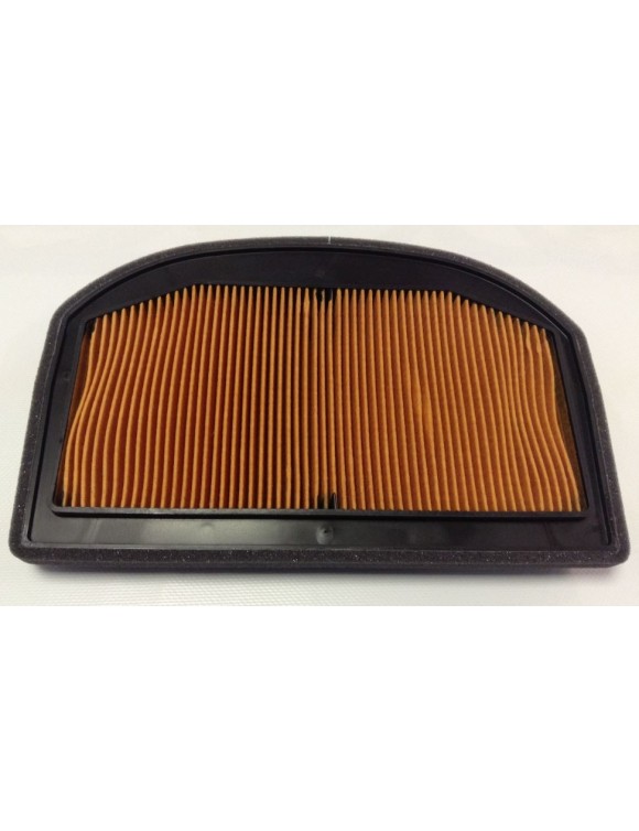 Luftfilter T2209555 TRIUMPH 1200/SE Wüste/SE ALPINE/EXPLORER - 2
