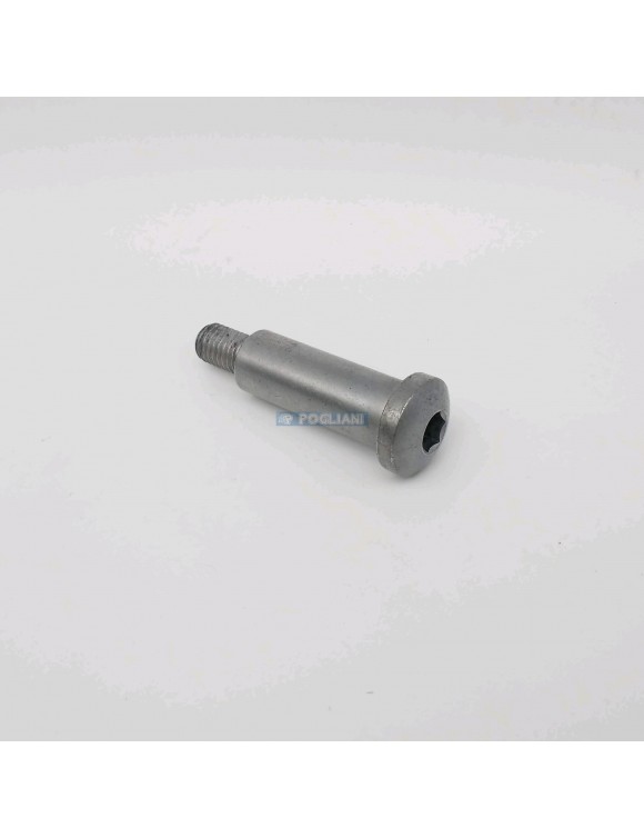 T2088022 TRANSMISIÓN PEDAL FIJACIÓN TORNILLO TRIUMPH STREET TWIN/ CUP/ Speed Twin - 2 T2088022 TRANSMISIÓN PEDAL FIJACIÓN TORNILLO TRIUMPH STREET TWIN/ CUP/ Speed Twin - 2