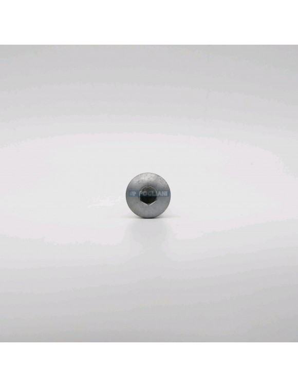 T2088022 TRANSMISIÓN PEDAL FIJACIÓN TORNILLO TRIUMPH STREET TWIN/ CUP/ Speed Twin - 3 T2088022 TRANSMISIÓN PEDAL FIJACIÓN TORNILLO TRIUMPH STREET TWIN/ CUP/ Speed Twin - 3