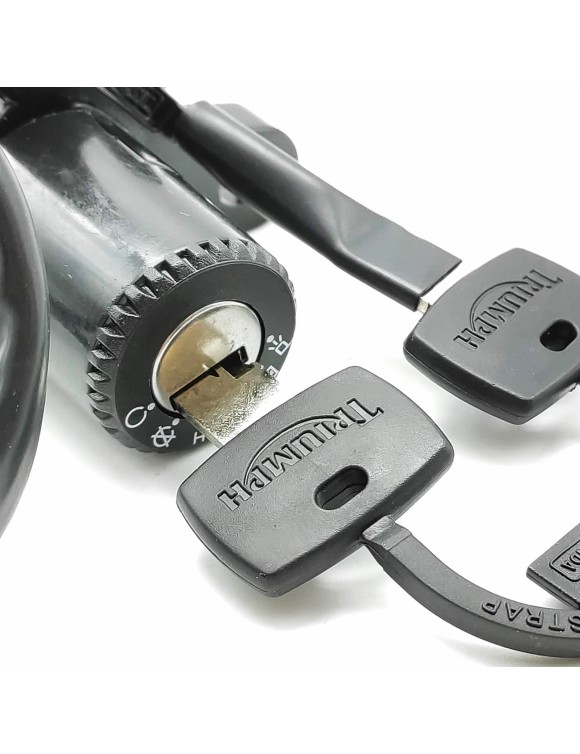 Cambiar encendido T2500448 Daytona,Spped Four/triple,Sprint Rs/St,Street Triple - 4 Cambiar encendido T2500448 Daytona,Spped Four/triple,Sprint Rs/St,Street Triple - 4