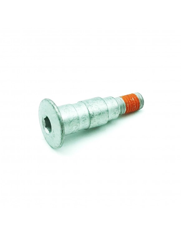 Perno leva freno posteriore 884033 RSV4,rs 660,Pegaso 660,Mana,Dorsoduro,caponor - 2