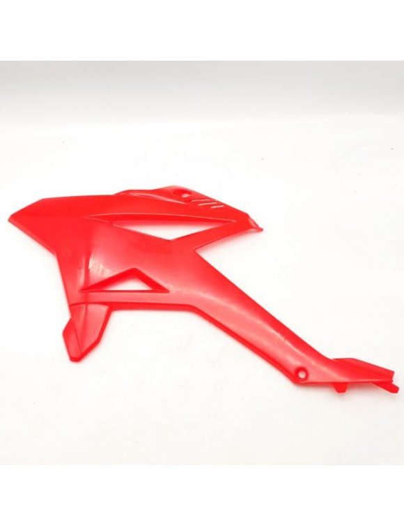 Transportador izquierdo, casco original Beta Motard RR 50 / Enduro RR 50-125 - 1