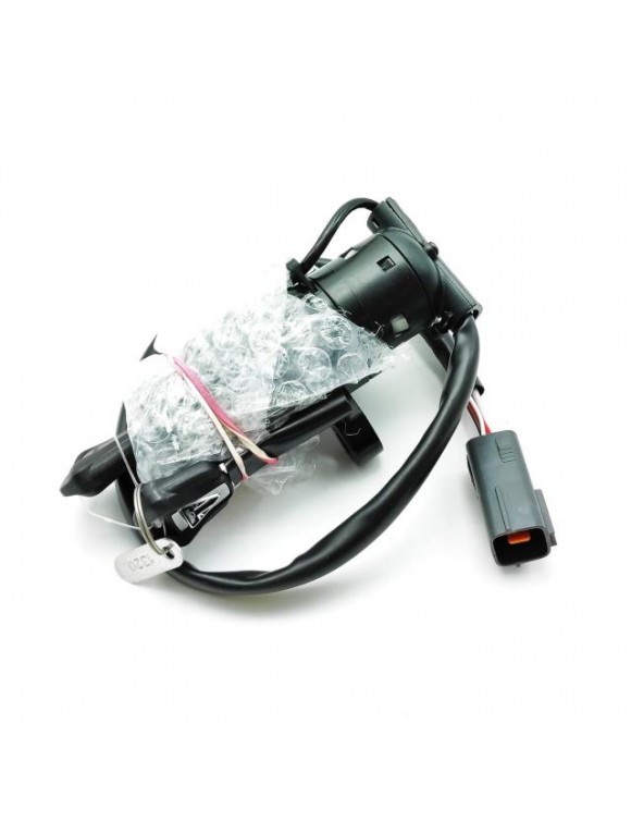 Kit blocchetto di accensione, ricambio originale Triumph t2503320 - 1