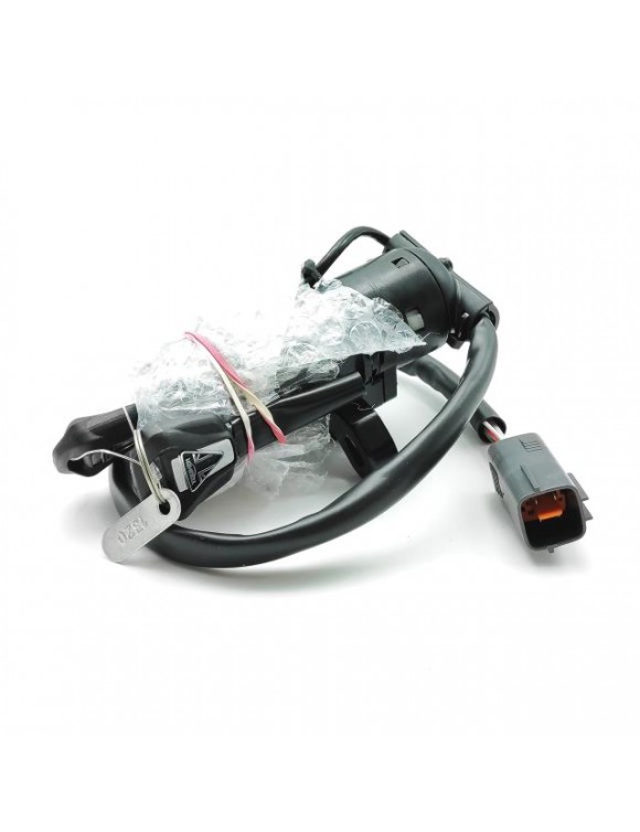 Kit blocchetto di accensione, ricambio originale Triumph t2503320 - 2