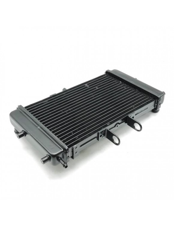 Radiateur original, noir, 04565005 Fantic Caballero 125-250-500 - 2
