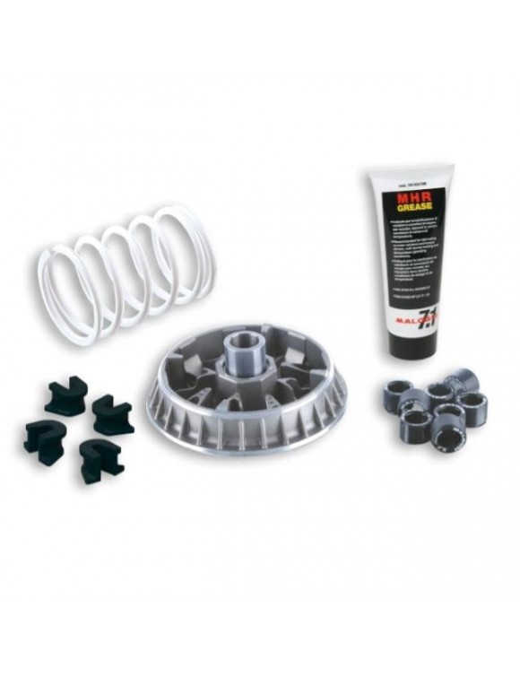 Variaotre multivar 2000 kit with tube of lubricating grease - Malossi 5114260