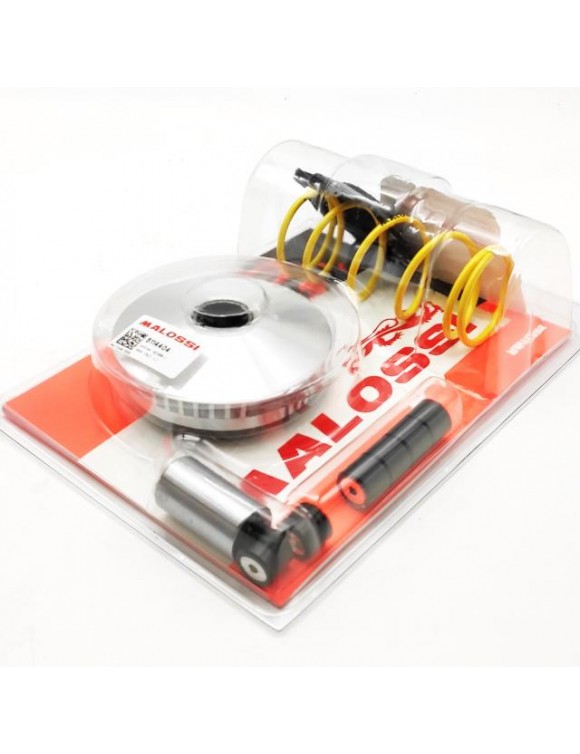 Kit variatore multivar 2000, Malossi 5114404, keeway/Malaguti/Kymco/PGO - 3