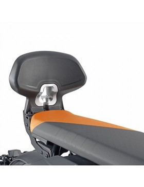 Passenger Backrest, Givi TB5142A for BMW CE 04