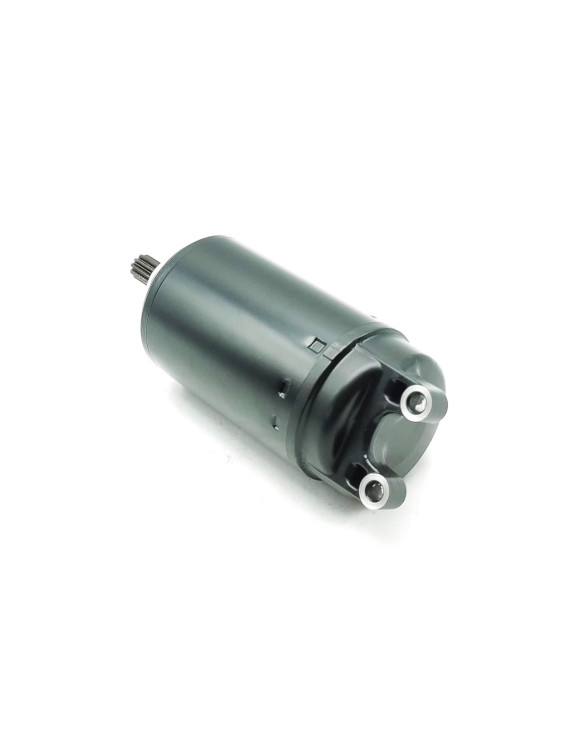 Motorino di Avviamento, Originale T1311119, SPEED TRIPLE/SPRINT RS/TIGER 955i - 3