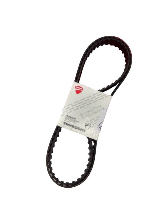 Coppia Cinghie Di Distribuzione Ducati 066029090 Monster / Supersport 400-600-750 - 1 Coppia Cinghie Di Distribuzione Ducati 066029090 Monster / Supersport 400-600-750 - 1