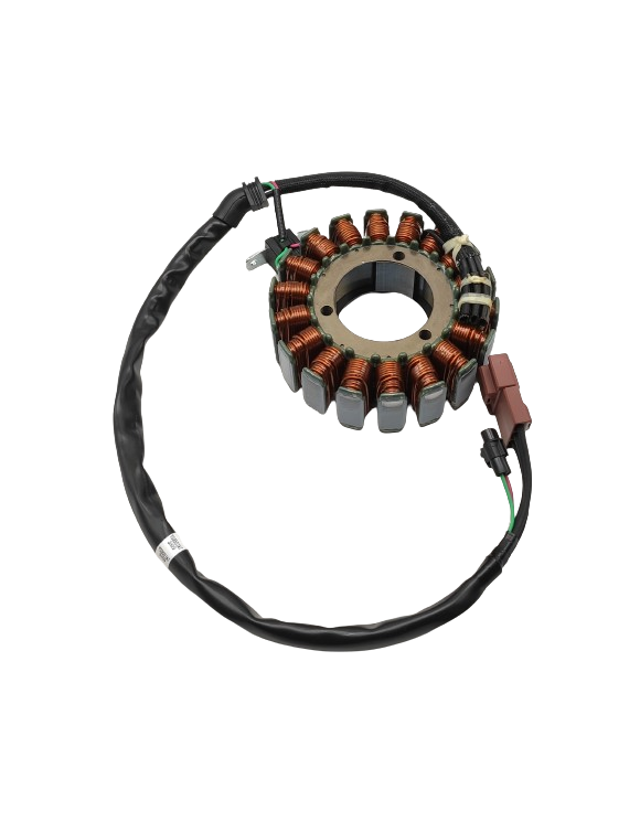 Kit Statore Alternatore Originale Triumph T1300197 - 1