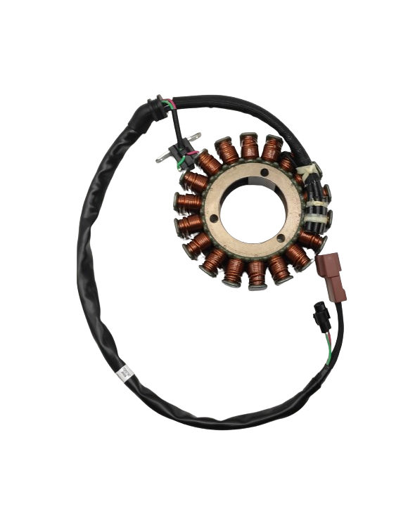 Kit Statore Alternatore Originale Triumph T1300197 - 3