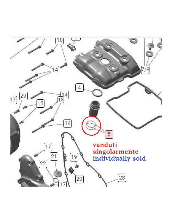 O-Ring Contenitore Candela LJA00001 Triumph Speed 400 / Scrambler 400 X - 2 O-Ring Contenitore Candela LJA00001 Triumph Speed 400 / Scrambler 400 X - 2