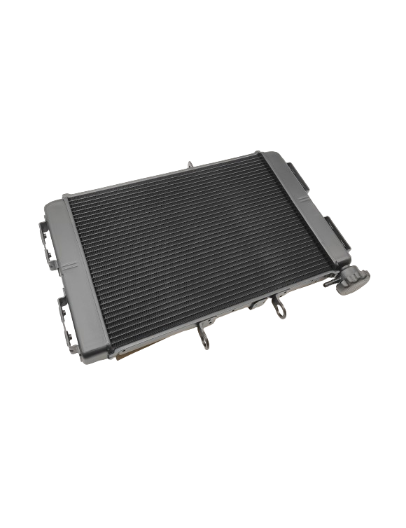 Original radiator T2106401 Triumph Tiger Sport 660 - 1