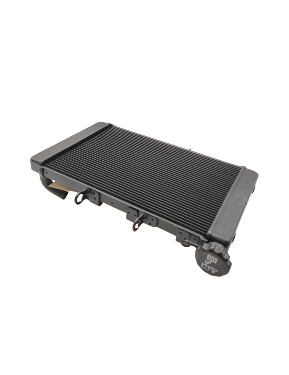 Radiateur d'origine T2106301 Triumph Trident 660 - 2