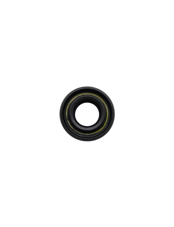 Guarnizione Double Lip Pompa Raffreddamento JL601010 Triumph nSpeed 400 / Scrambler 400 X - 1 Guarnizione Double Lip Pompa Raffreddamento JL601010 Triumph nSpeed 400 / Scrambler 400 X - 1