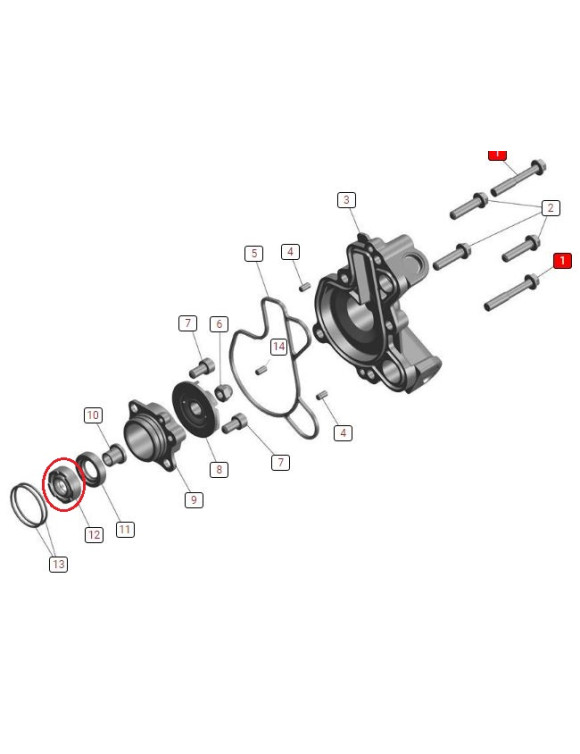 Guarnizione Double Lip Pompa Raffreddamento JL601010 Triumph nSpeed 400 / Scrambler 400 X - 2 Guarnizione Double Lip Pompa Raffreddamento JL601010 Triumph nSpeed 400 / Scrambler 400 X - 2