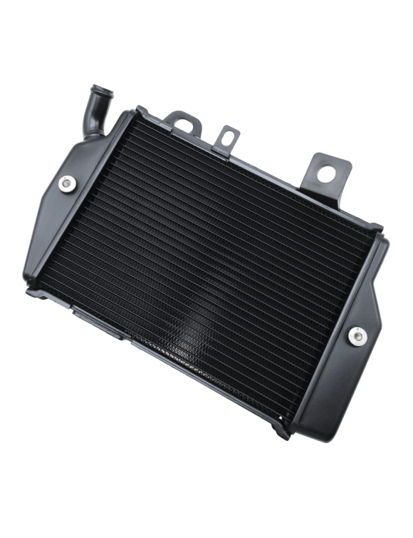 Originaler linker Kühler T2104201 Triumph Tiger 850-900 - 1