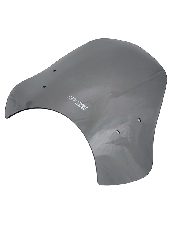 Kit Cupolino Touring Fumè V1751005 Fantic Caballero 700 - 3