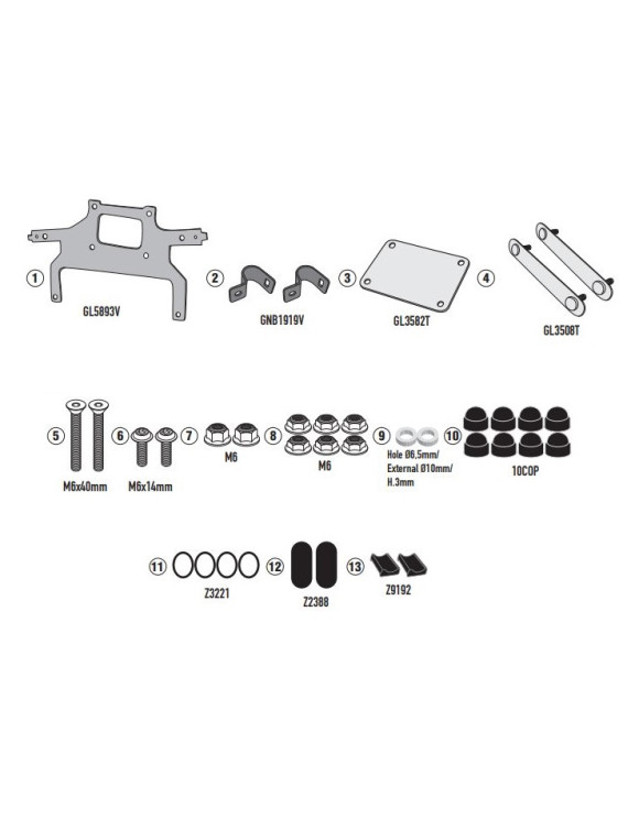 Givi TL9059KIT Kit para Fijar Caja de Herramientas S250 en Portamaletas PL9059, HIMALAYAN 450 MY24 - 1