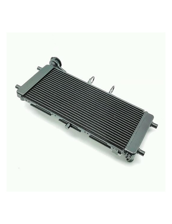 Radiatore, Ricambio Originale 05522005, Fantic CABALLERO 125 E5 - 1