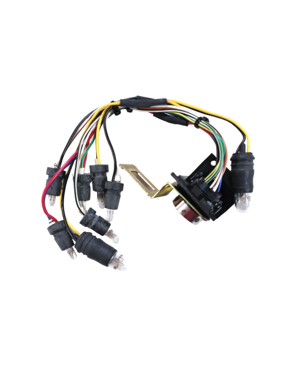 Gruppo Cablaggio Cruscotto 51011501A, Ducati Monster 400-600-750-900 - 4