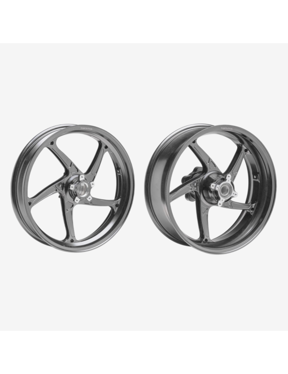 Forged Wheels in Grey, 96380251AC, Ducati Panigale/Streetfighter V4