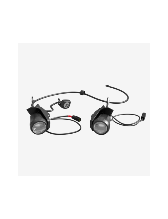 Paire de feux antibrouillard LED d'origine A9830212 Triumph Tiger Sport 800 - 1