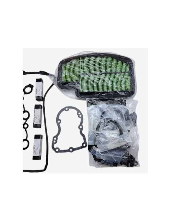 Kit de mantenimiento, Triumph T3990217, para Speed Triple 1200 RR/RS - 4 Kit de mantenimiento, Triumph T3990217, para Speed Triple 1200 RR/RS - 4