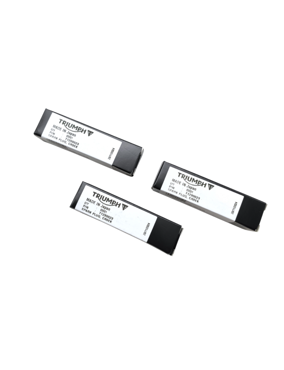 Kit de mantenimiento T3990037 Triumph Tiger 800 - 3