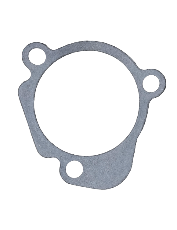 Guarnizione Cilindretto Attuatore Frizione T1171711 Triumph Rocket 3 / Tiger 1200 / Tiger Explorer / Trophy 1215 - 1