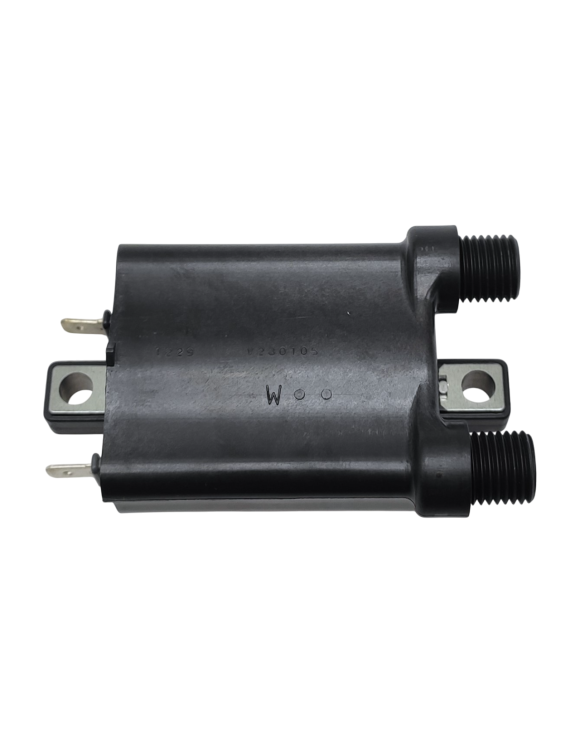 Bobina di Accensione Doppia Uscita T1290101 Triumph Air Cooled Bonneville/Rocket 3/Thruxthon 900 EFI - 4