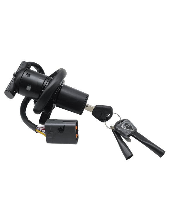 Blocchetto di Accensione con Chiavi T2507501 Triumph Speed Triple - 2