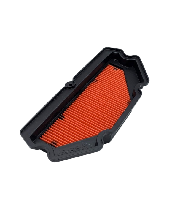 Filtro aria originale 110130713 Kawasaki  er-6n 650 / er-6f 650 / ABS - 1