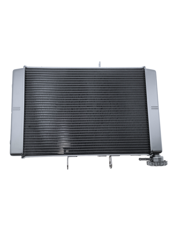 Radiatore Originale T2106889 Triumph Trident 660
