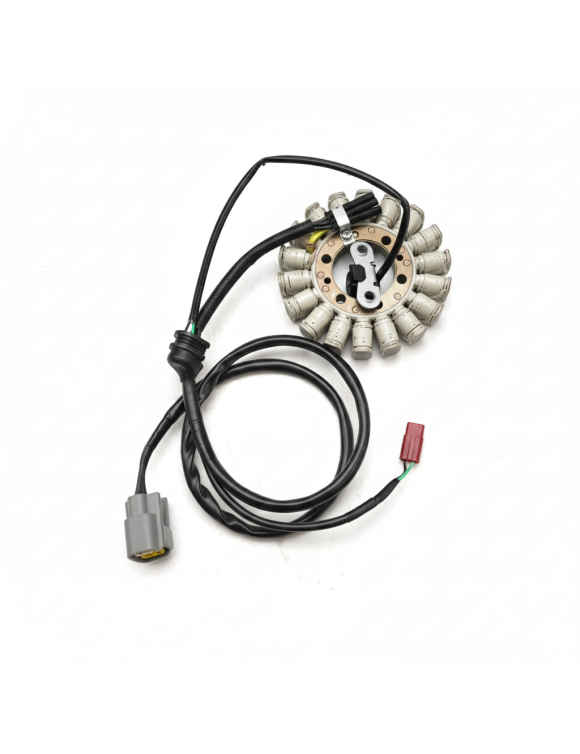 OEM Alternator Stator T1305965 for Triumph Tiger 800 - 2