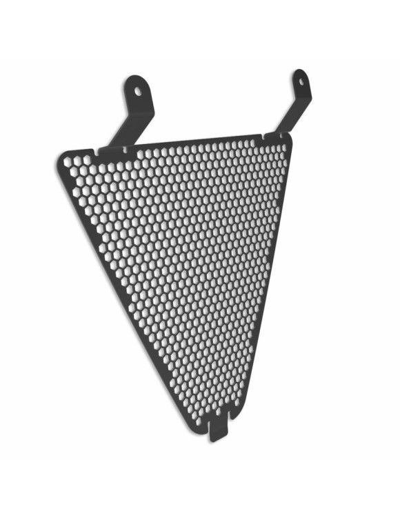 Network Protection Radiator Ducati Panigale 97380101B - 1